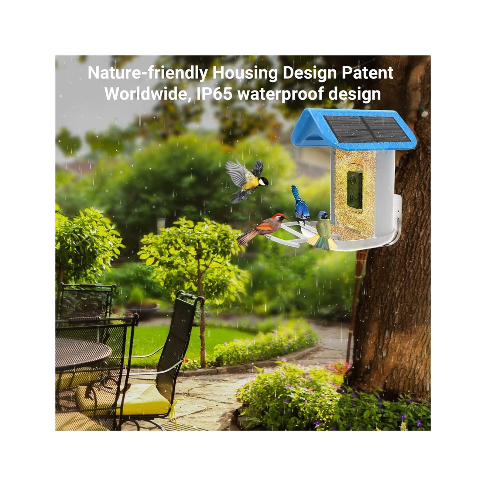 Amazon.co.jp: 鳥 餌台 ソーラー パネル スマート バード フィーダー